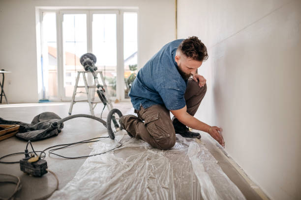 Best Ceiling Drywall Installation  in Mountain Lodge Park, NY